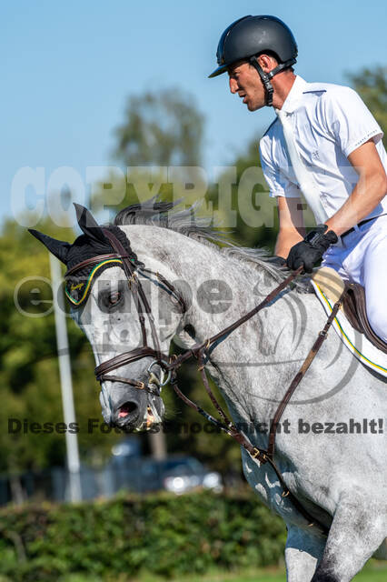Kronenberg - De Peelbergen (August 2020)