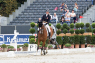 FEI European Championship Eventing 2019