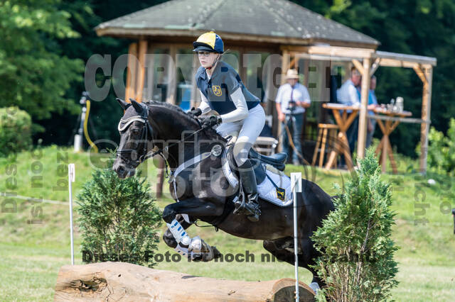 Goldene Schärpe 2021 - Ponys