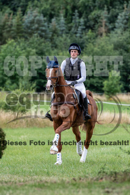 Bonn-Rodderberg Late-Entry-Vielseitigkeit (30.06.2020)