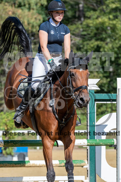 RFV Dinslaken-Hiesfeld (Herbstturnier)