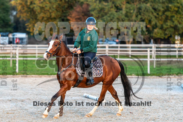 IGV Lehrgang der Sieger der Cups mit Frank Ostholt