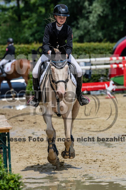 Goldene Schärpe 2021 - Ponys