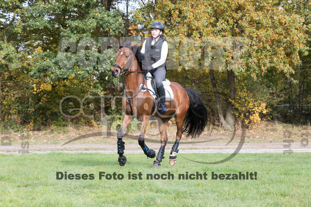 IGV Lehrgang der Sieger der Cups mit Frank Ostholt