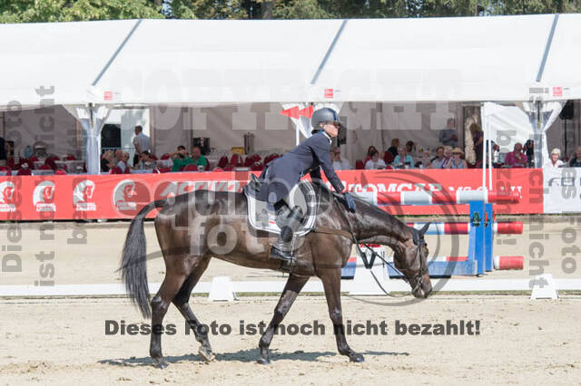 FEI European Championship