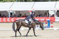 FEI European Championship