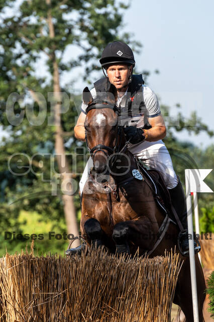 De Peelbergen (August 2020)