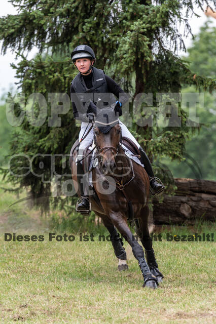 Late-Entry-Vielseitigkeit Langenfeld (11.+13./14.06.2020)