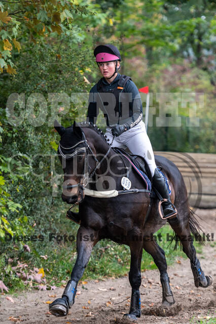 Goldene Schärpe 2020 - Pferde