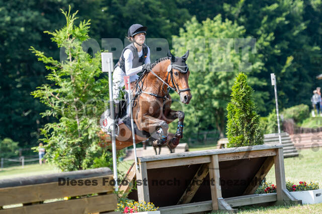 Goldene Schärpe 2021 - Ponys