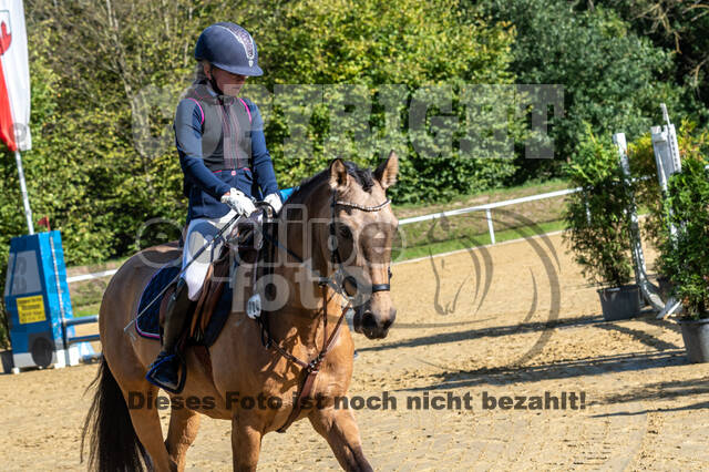 RFV Dinslaken-Hiesfeld (Herbstturnier)