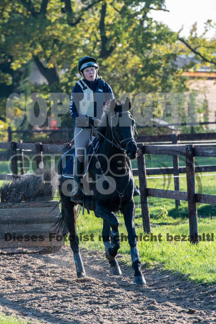 Vielseitigkeitslehrgang mit Jürg Kurbel (9.+10.11.2019)