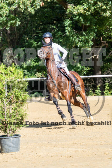 RFV Dinslaken-Hiesfeld (Herbstturnier)