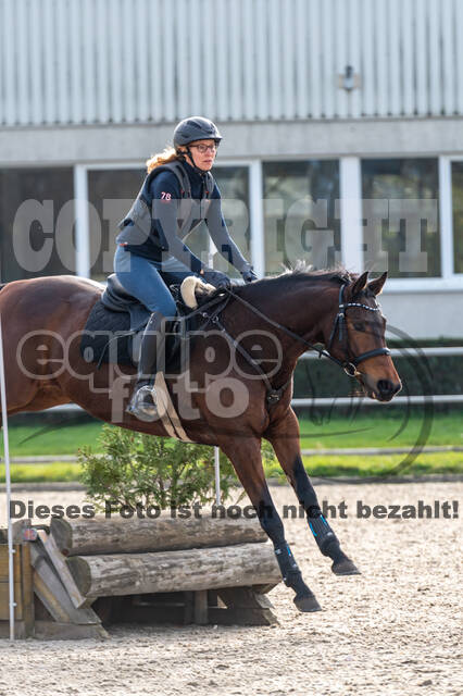 IGV Lehrgang der Sieger der Cups mit Frank Ostholt