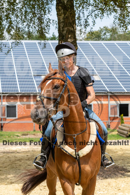 Hunter Geländetraining 10.07.2021 (Sonsbeck)