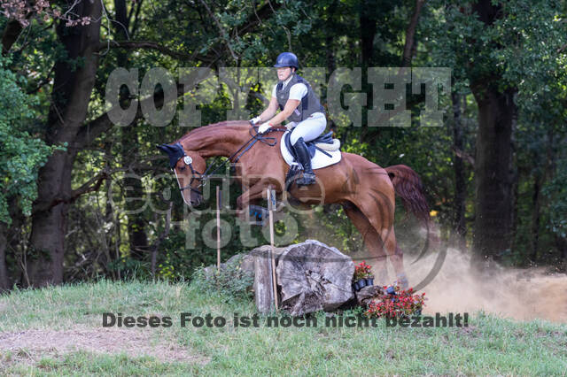 Late-Entry Vielseitigkeit Hamminkeln/Wesel (01.+02.08.2020)