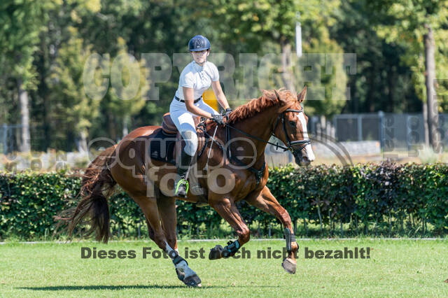 Kronenberg - De Peelbergen (August 2020)