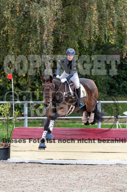 Goldene Schärpe 2020 - Pferde