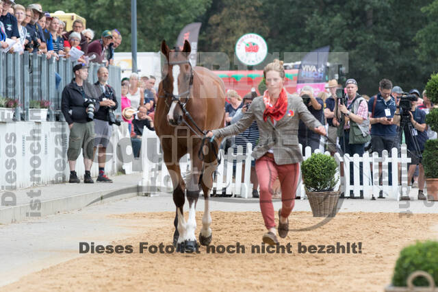 FEI European Championship Eventing 2019