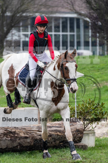 Goldene Schärpe 2020 - Pferde