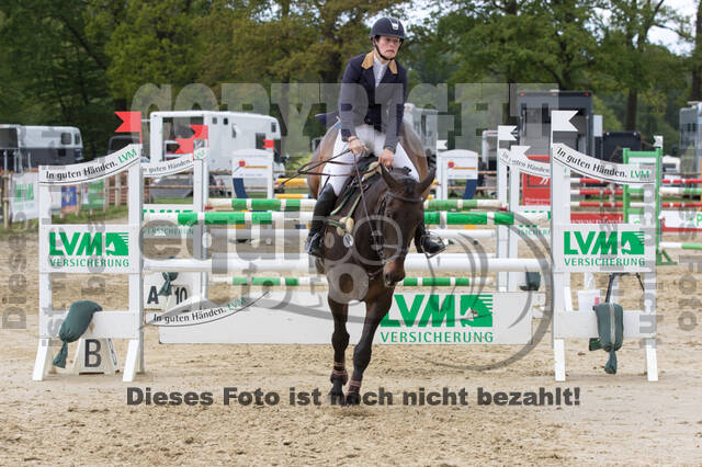 Sterne über Münster 2019 - CCI***S