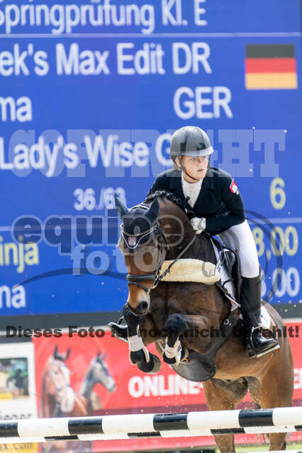 Goldene Schärpe 2021 - Ponys