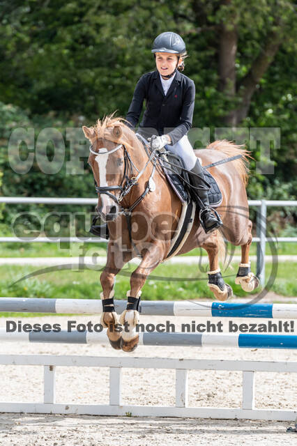 Late-Entry-Vielseitigkeit Langenfeld (06.+07.07.2020)