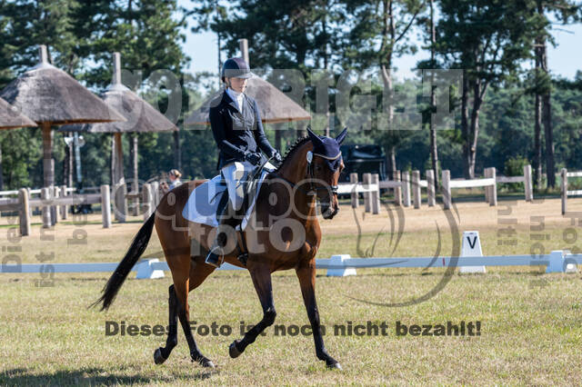 Kronenberg - De Peelbergen (August 2020)