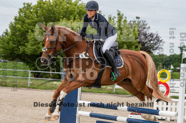 Late-Entry-Vielseitigkeit Langenfeld (06.+07.07.2020)