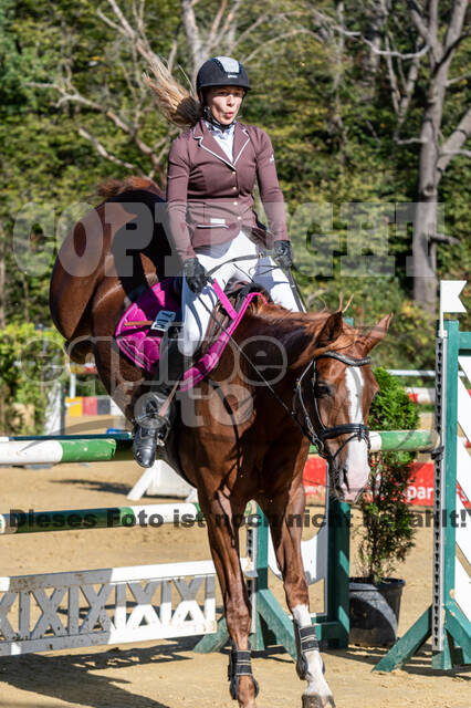 RFV Dinslaken-Hiesfeld (Herbstturnier)