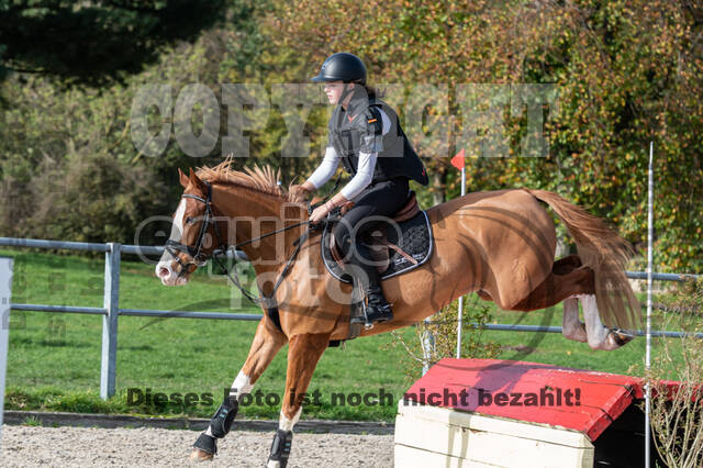 IGV Lehrgang der Sieger der Cups mit Frank Ostholt