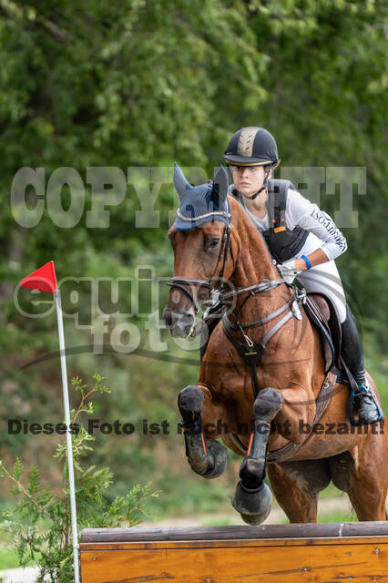 Late-Entry-Vielseitigkeit Langenfeld (06.+07.07.2020)