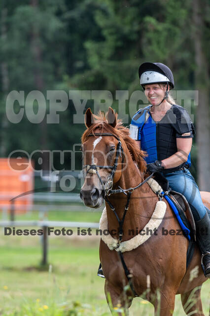 Hunter Geländetraining 10.07.2021 (Sonsbeck)