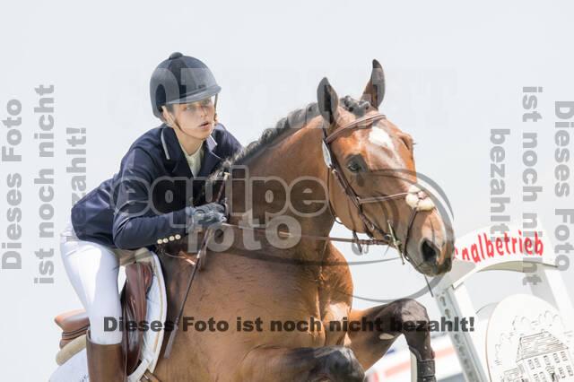 Vielseitigkeitsturnier ZRuFV von Lützow Hamminkeln