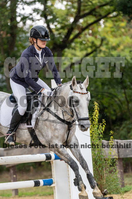 Vielseitigkeit RSV Wesel Obrighoven (26.+27.09.2020)