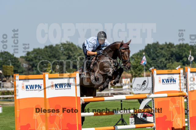 Kronenberg - De Peelbergen (August 2020)