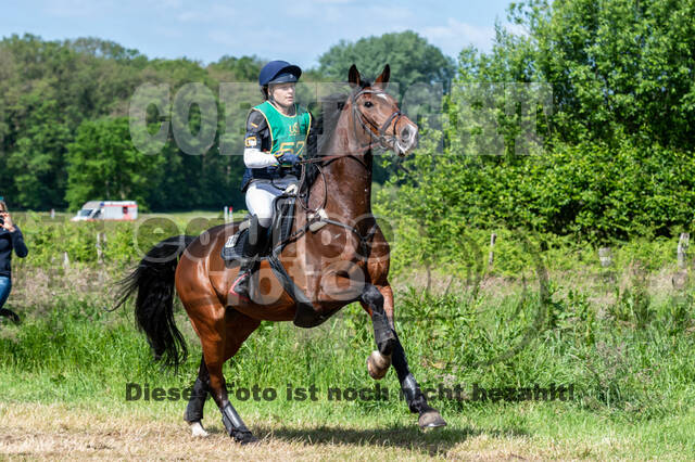 Westerstede Horse Trials (10.-13.06.2021)