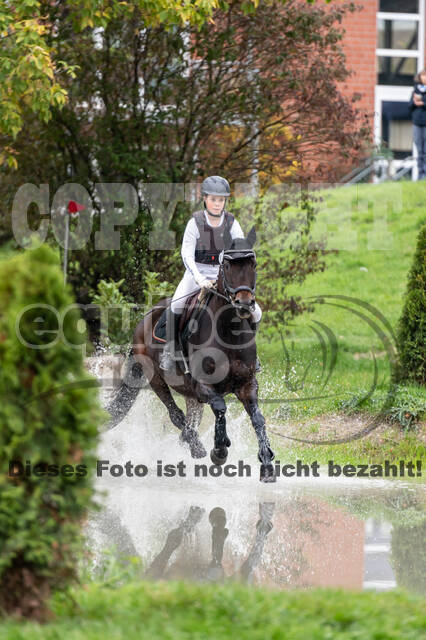 Goldene Schärpe 2020 - Pferde