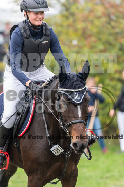 Goldene Schärpe 2020 - Pferde