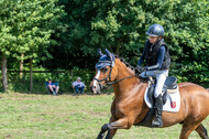 Goldene Schärpe 2021 - Ponys