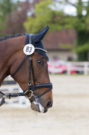 Sterne über Münster 2019 - CCI***S