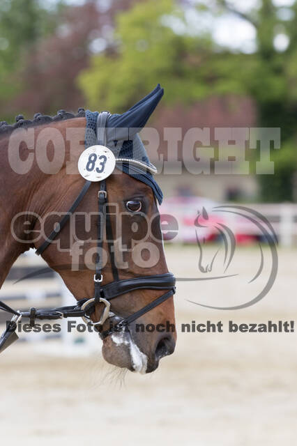Sterne über Münster 2019 - CCI***S