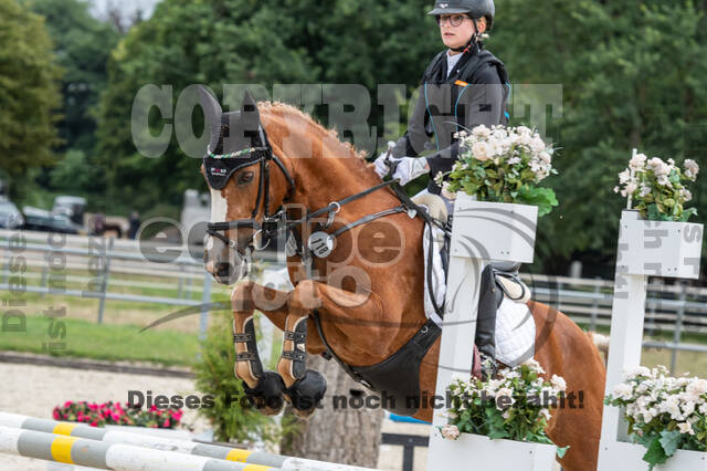 Late-Entry-Vielseitigkeit Langenfeld (06.+07.07.2020)