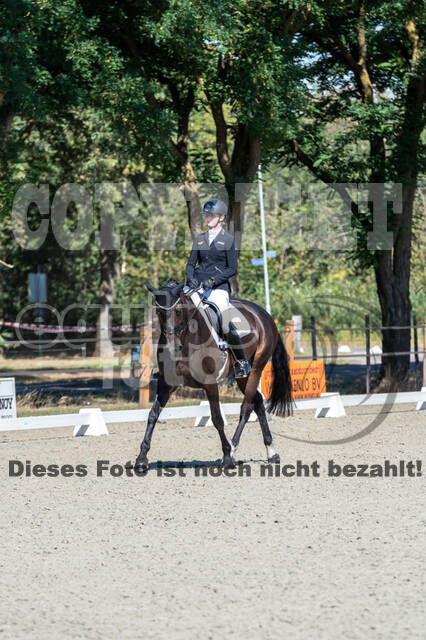 Kronenberg - De Peelbergen (August 2020)