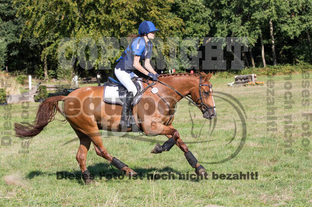 Vielseitigkeitsturnier RSV St. Hubertus Wesel Obrighoven