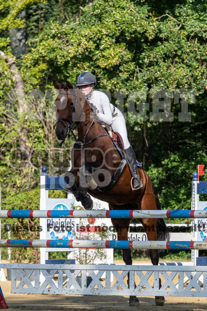 RFV Dinslaken-Hiesfeld (Herbstturnier)