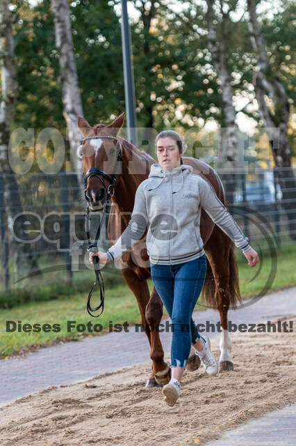 Deutsche Meisterschaft Vielseitigkeit (Luhmühlen)
