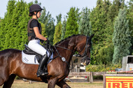 Late-Entry Vielseitigkeit Hamminkeln/Wesel (01.+02.08.2020)