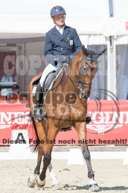 FEI European Championship Eventing 2017