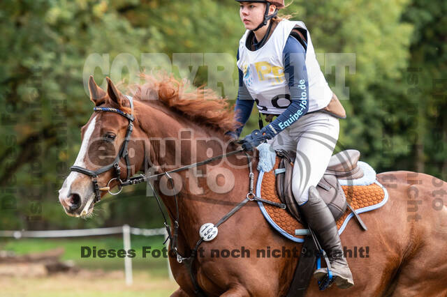 Vielseitigkeit RSV Wesel Obrighoven (26.+27.09.2020)